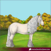 Horse Color:Cremello