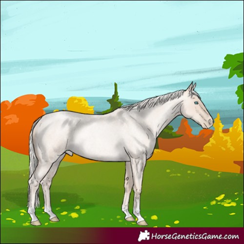 Horse Color:Gold Cream Champagne Roan Pearl Rabicano 