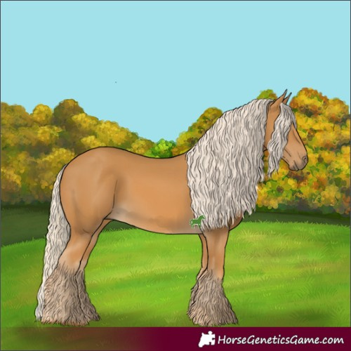 Horse Color:Palomino 