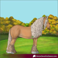 Horse Color:Palomino