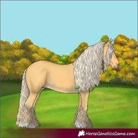 Horse Color:Palomino