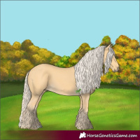 Horse Color:Palomino