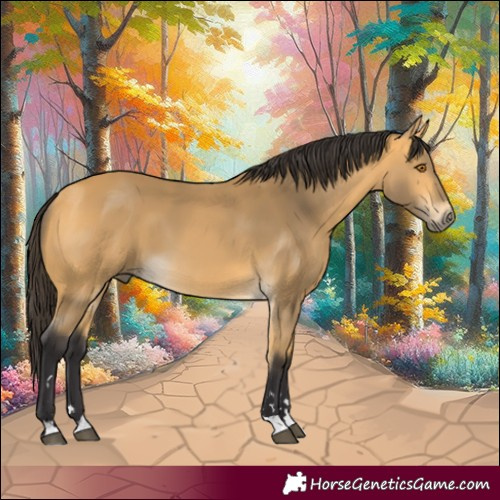 Horse Color:Pseudo Buckskin 
