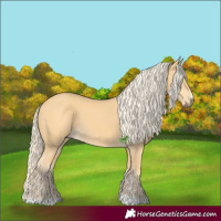 Horse Color:Palomino 