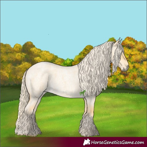 Horse Color:Palomino Roan Dun