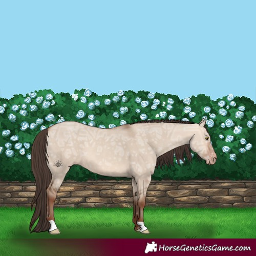 Horse Color:Amber Champagne Ice Dun 