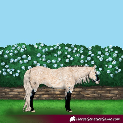 Horse Color:Palomino Ice Sabino 