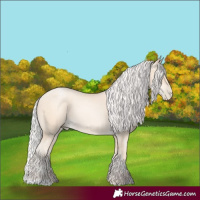 Horse Color:Silver Amber Cream Champagne Pearl 