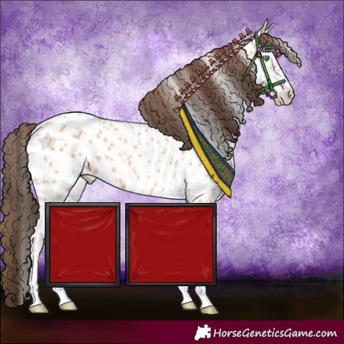 Horse Color:Amber Champagne Tobiano Appaloosa