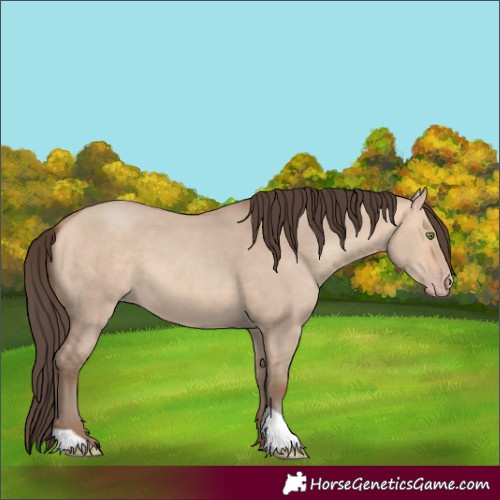 Horse Color:Amber Champagne Dun