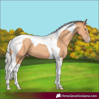 Horse Color:Silver Amber Champagne Tobiano