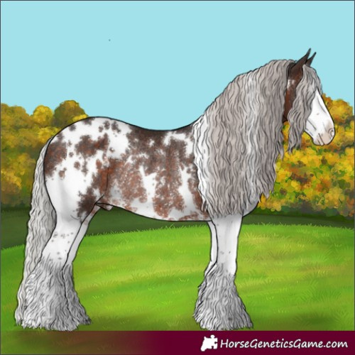 Horse Color:White Spotted Silver Brown Sabino Splash Rabicano 