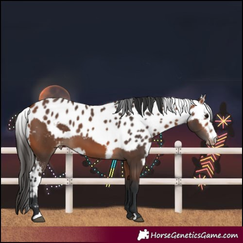 Horse Color:Bay Skewed LP Spotted