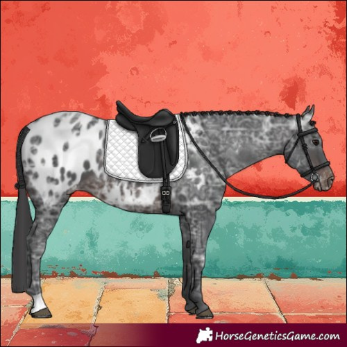 Horse Color:Brown Ice Blanket 