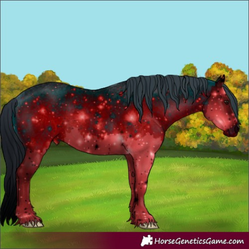 Horse Color:ERROR: UNKNOWN ANOMALY
