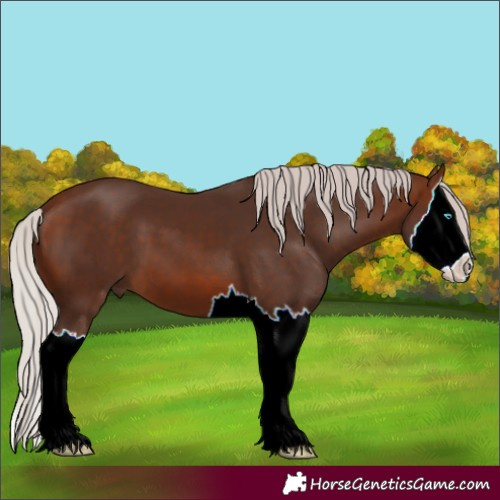 Horse Color:Silver Brown Splash 