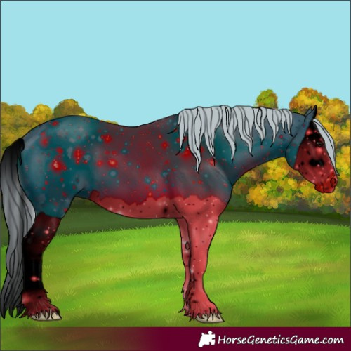 Horse Color:ERROR: UNKNOWN ANOMALY