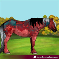 Horse Color:ERROR: UNKNOWN ANOMALY
