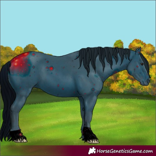 Horse Color:ERROR: UNKNOWN ANOMALY