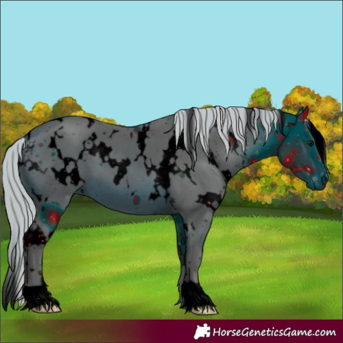 Horse Color:ERROR: UNKNOWN ANOMALY