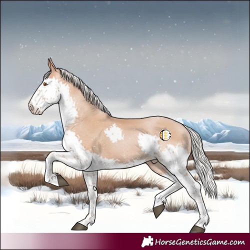 Horse Color:Silver Black Pearl Splash Tobiano