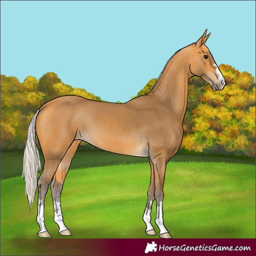 Horse Color:Silver Buckskin 