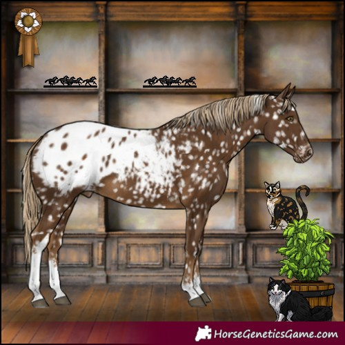 Horse Color:White Spotted Pseudo Chocolate Palomino Blanket 