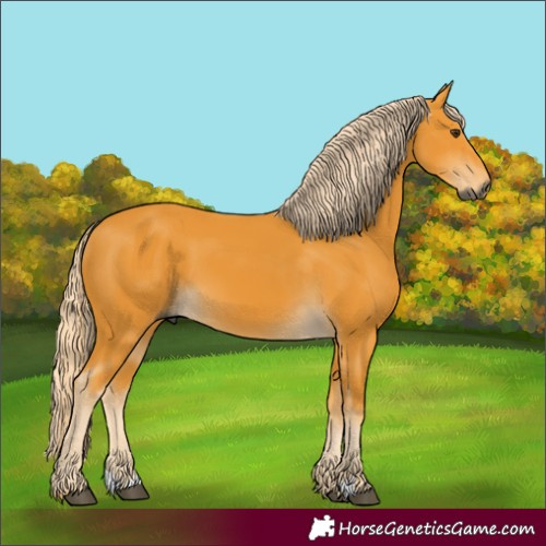 Horse Color:Gray Palomino 