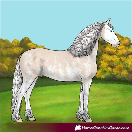 Horse Color:Silver Perlino Sabino Splash 
