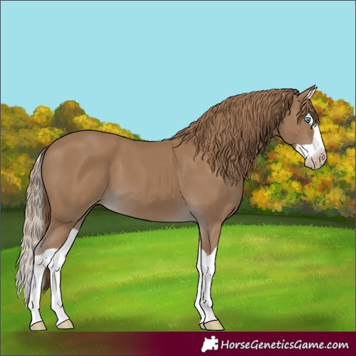 Horse Color:Gray Smoky Creme Splash