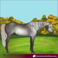 Horse Color:Gray Silver Black 
