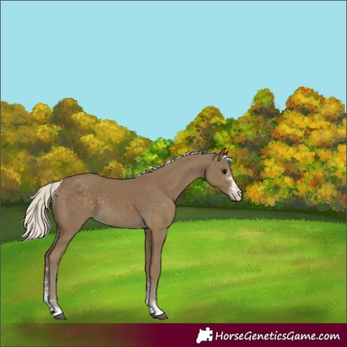 Horse Color:Silver Smoky Black Sabino 