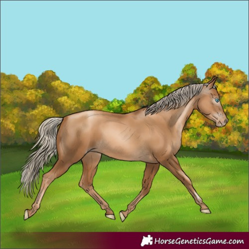 Horse Color:Gray Gold Cream Champagne Pearl 