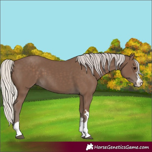 Horse Color:Silver Black 