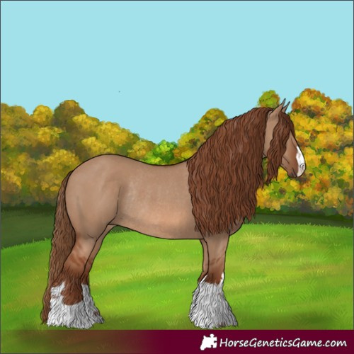 Horse Color:Red Dun Rabicano 