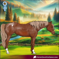 Horse Color:Chestnut Varnish 