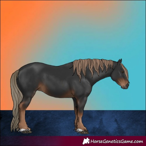 Horse Color:Gray Liver Chestnut