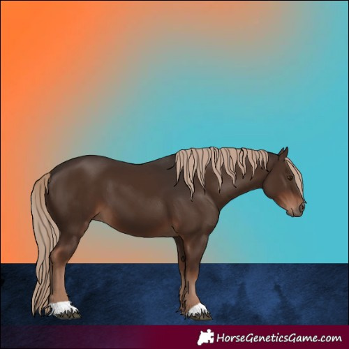 Horse Color:Liver Chestnut 