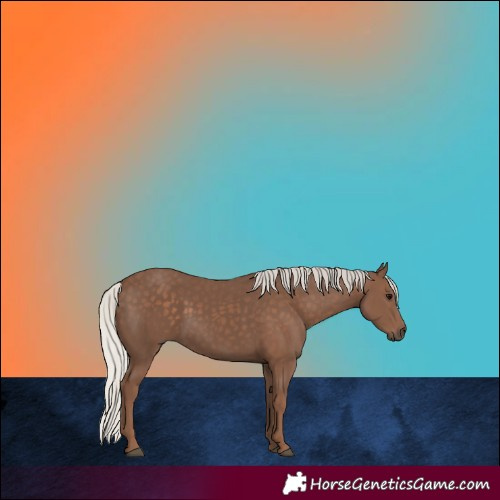Horse Color:Silver Black 