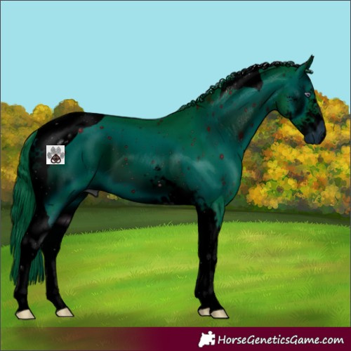 Horse Color:ERROR: UNKNOWN ANOMALY