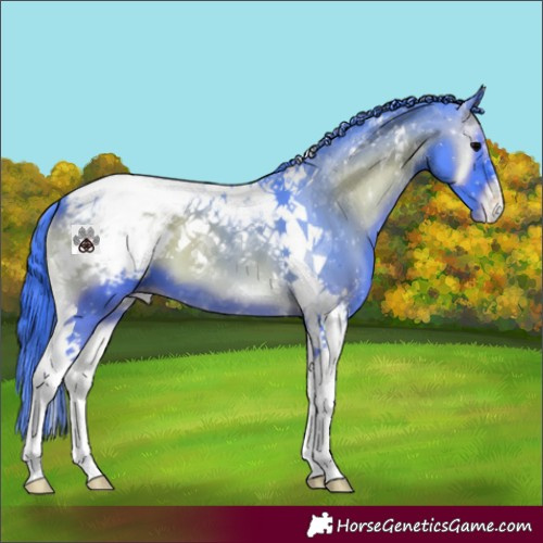 Horse Color:Watercolor Blue Onyx Tobiano Appaloosa 