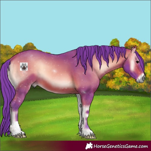 Horse Color:Watercolor Bay Onyx 