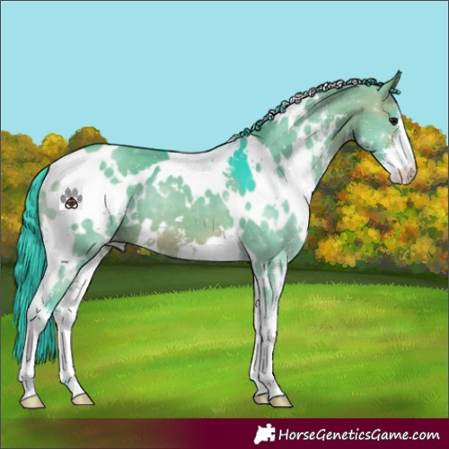 Horse Color:Watercolor White Spotted Brown Dun Sabino 
