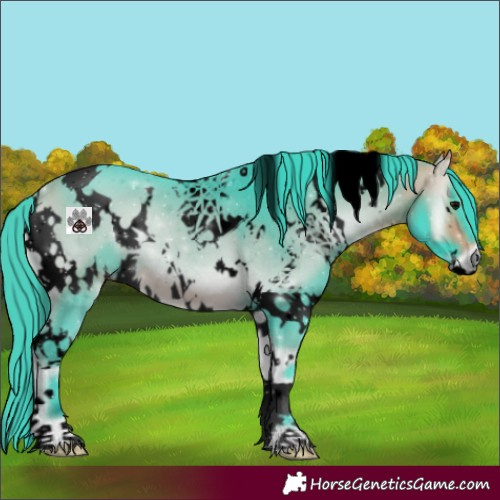 Horse Color:Void Watercolor White Spotted Buckskin Onyx