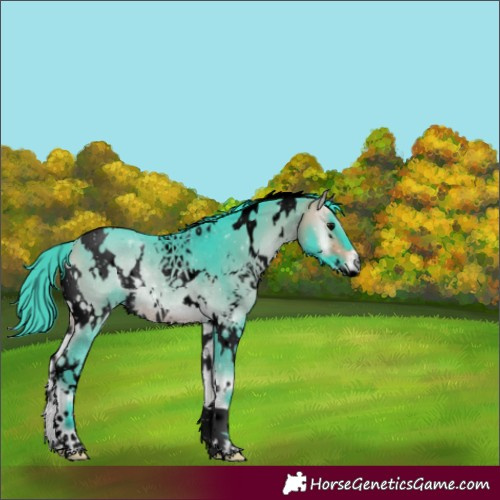 Horse Color:Void Watercolor White Spotted Buckskin Onyx 