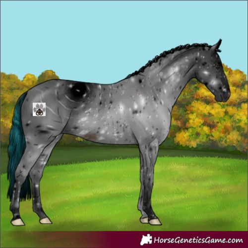 Horse Color:ERROR: UNKNOWN ANOMALY