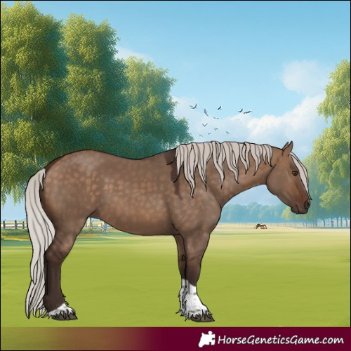 Horse Color:Silver Bay Dun Tobiano Rabicano 