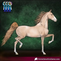 Horse Color:Gold Champagne Pearl
