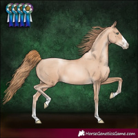 Horse Color:Gold Champagne Pearl 