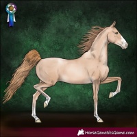 Horse Color:Gold Champagne Pearl 